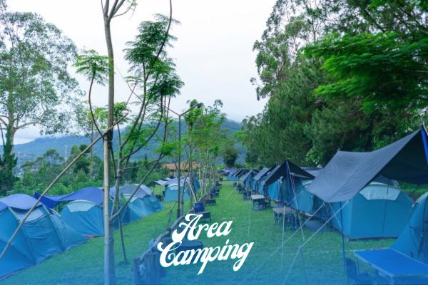 camping area